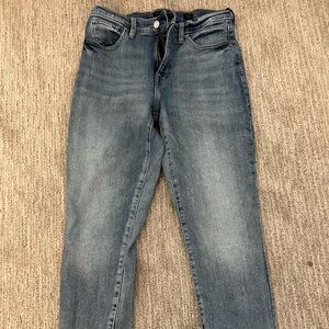 High-Rise Bridgette Skinny in Shasta, Medium wash 8/29R